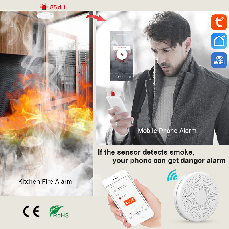 2 in 1 Version WiFi Tuya Smart - Smoke Detector Interconnected のレビューと価格