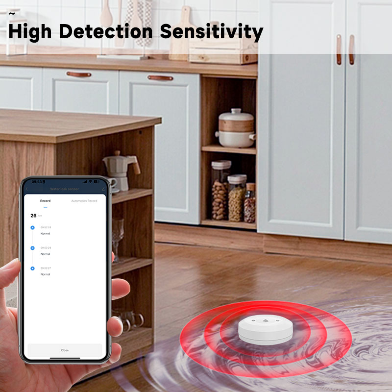 Tuya Zigbee2mqtt Water Immersi - Water Alarm Sensor のレビューと価格