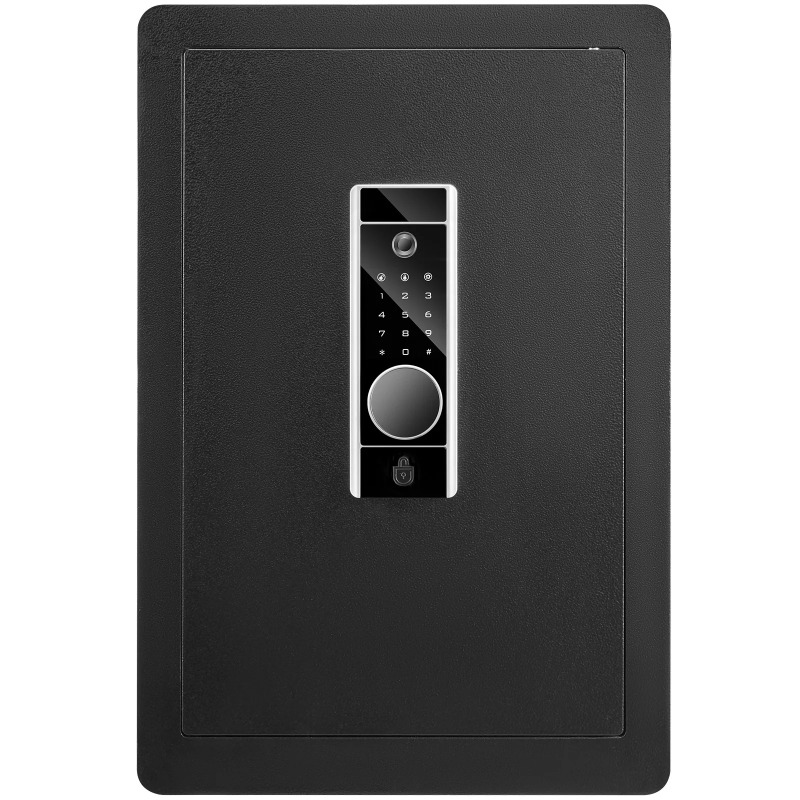 SucceBuy Electric Safe 2.2/1.8 - Fire Safe Document のレビューと価格