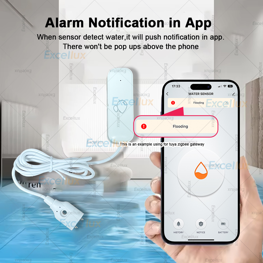 Zigbee Smart Water Leak Sensor - Water Alarm Sensor のレビューと価格