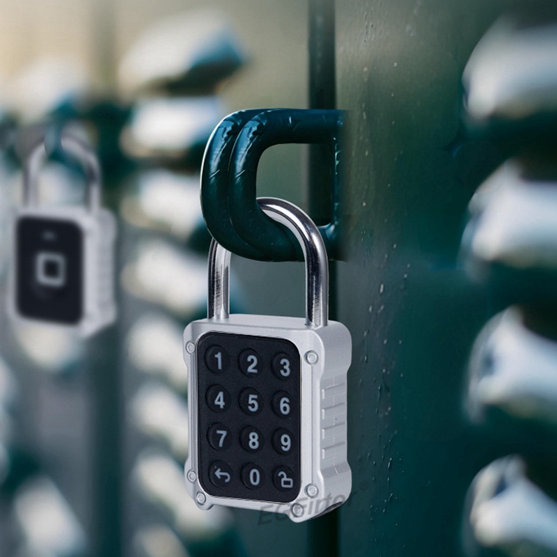 Tuya Bluetooth APP Remote Elec - Lockbox Key Secure のレビューと価格
