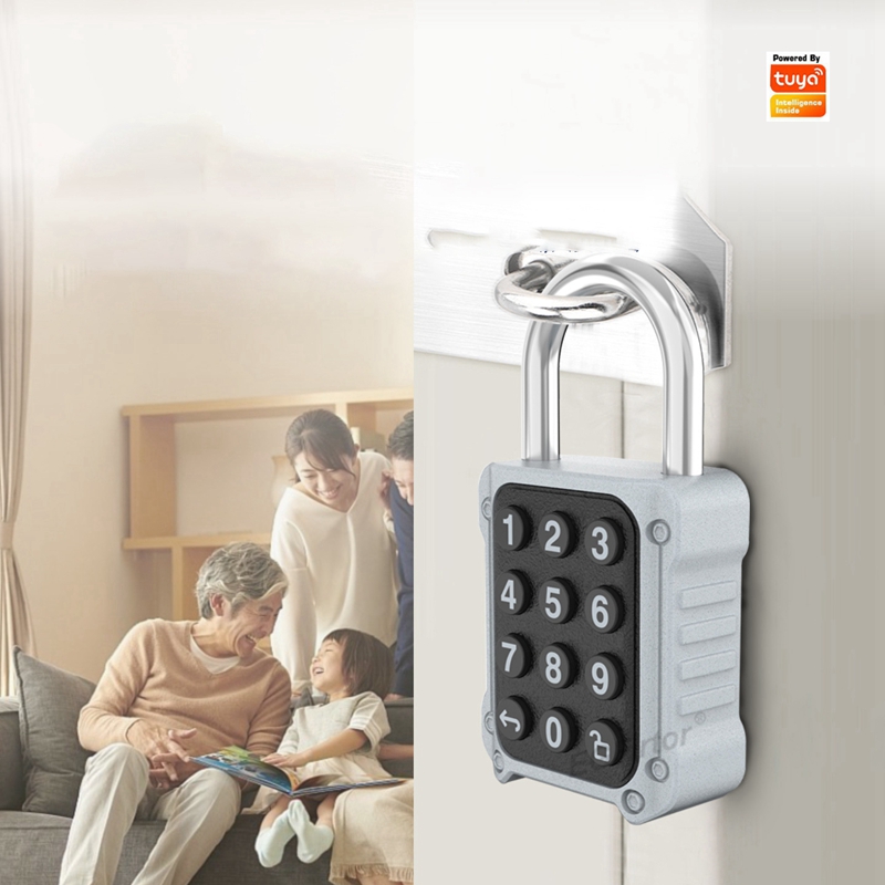 Tuya Bluetooth APP Remote Elec - Lockbox Key Secure のレビューと価格