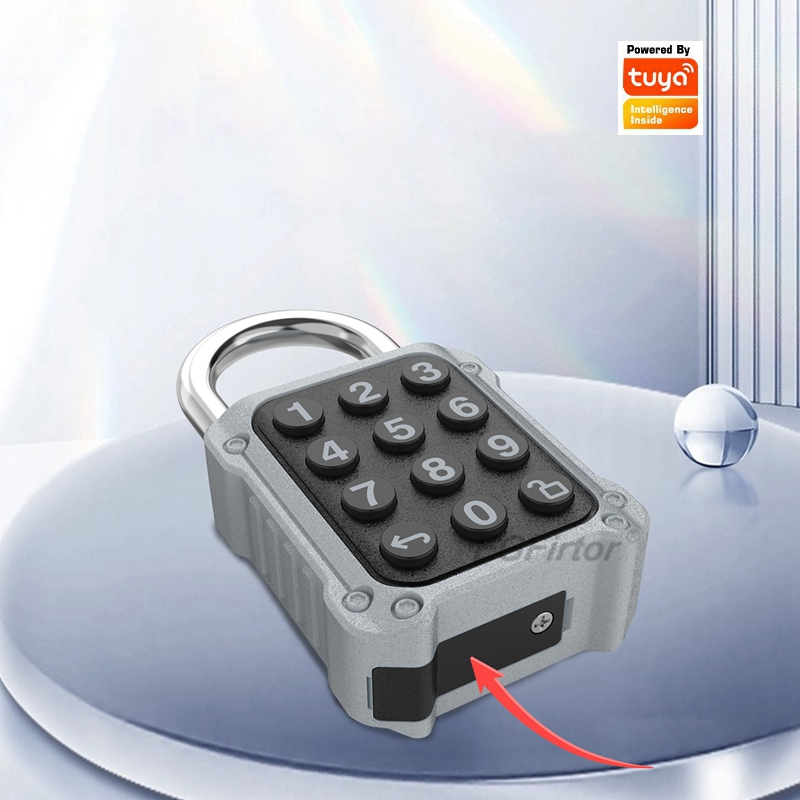 EGFirtor Tuya APP Electronic S - Lockbox Key Secure のレビューと価格